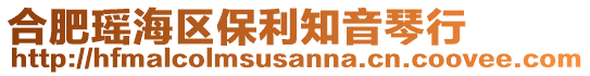 合肥瑤海區保利知音琴行