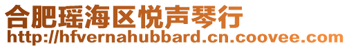 合肥瑤海區悅聲琴行