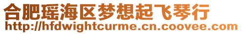 合肥瑤海區夢想起飛琴行