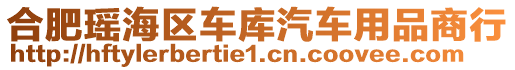 合肥瑤海區(qū)車庫(kù)汽車用品商行