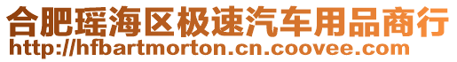 合肥瑤海區極速汽車用品商行