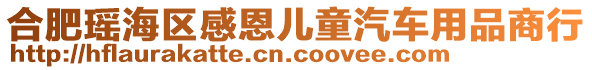 合肥瑤海區(qū)感恩兒童汽車用品商行