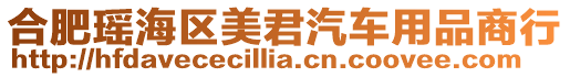 合肥瑤海區美君汽車用品商行