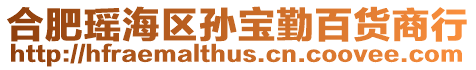 合肥瑤海區孫寶勤百貨商行