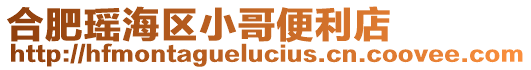 合肥瑤海區(qū)小哥便利店