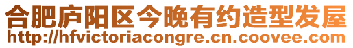 合肥廬陽(yáng)區(qū)今晚有約造型發(fā)屋