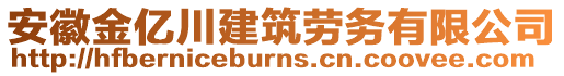 安徽金億川建筑勞務有限公司