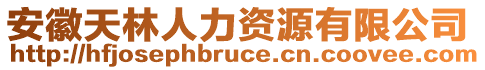 安徽天林人力資源有限公司