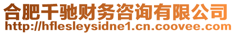 合肥千馳財務咨詢有限公司