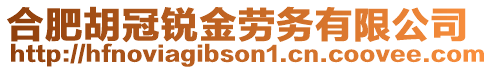 合肥胡冠銳金勞務(wù)有限公司