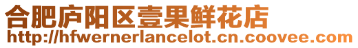 合肥廬陽區壹果鮮花店