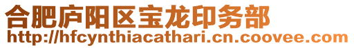 合肥廬陽區寶龍印務部