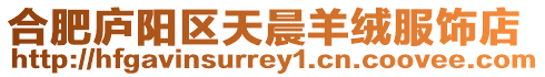 合肥廬陽區天晨羊絨服飾店