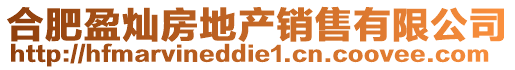 合肥盈燦房地產(chǎn)銷(xiāo)售有限公司