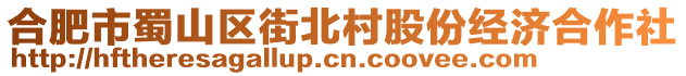 合肥市蜀山區(qū)街北村股份經(jīng)濟合作社