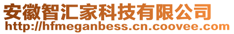 安徽智匯家科技有限公司