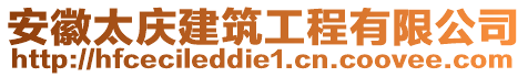 安徽太慶建筑工程有限公司