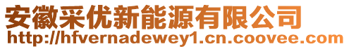 安徽采優(yōu)新能源有限公司