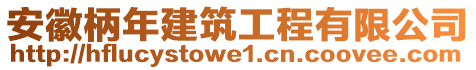 安徽柄年建筑工程有限公司