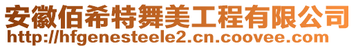 安徽佰希特舞美工程有限公司