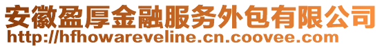 安徽盈厚金融服務外包有限公司
