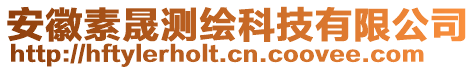 安徽素晟測繪科技有限公司