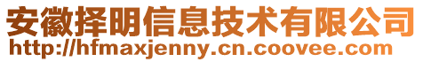 安徽擇明信息技術有限公司