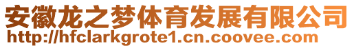 安徽龍之夢體育發展有限公司
