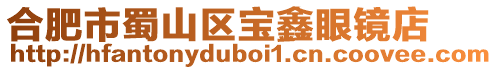 合肥市蜀山區寶鑫眼鏡店
