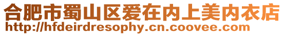 合肥市蜀山區愛在內上美內衣店