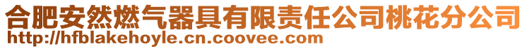 合肥安然燃氣器具有限責任公司桃花分公司