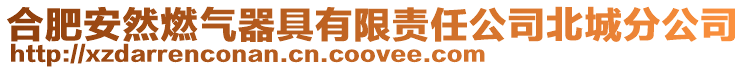 合肥安然燃氣器具有限責任公司北城分公司