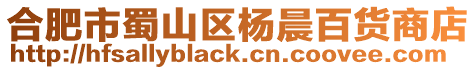 合肥市蜀山區楊晨百貨商店