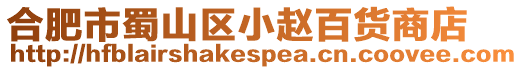 合肥市蜀山區小趙百貨商店