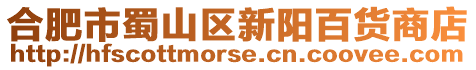 合肥市蜀山區(qū)新陽百貨商店