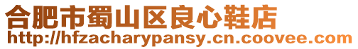 合肥市蜀山區良心鞋店