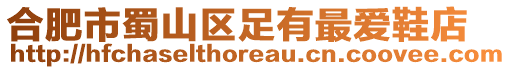 合肥市蜀山區(qū)足有最愛鞋店