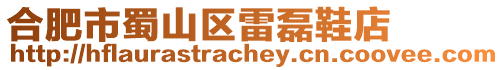 合肥市蜀山區雷磊鞋店