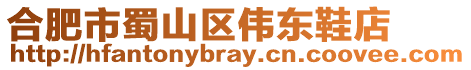 合肥市蜀山區偉東鞋店