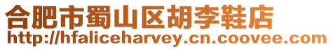 合肥市蜀山區胡李鞋店