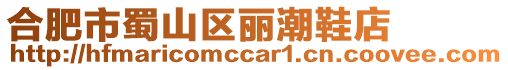 合肥市蜀山區(qū)麗潮鞋店