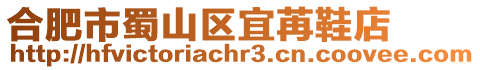 合肥市蜀山區宜苒鞋店