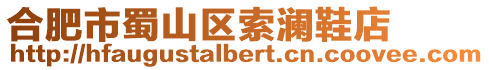 合肥市蜀山區索瀾鞋店