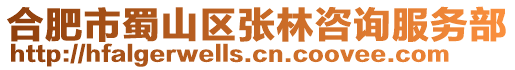 合肥市蜀山區(qū)張林咨詢服務(wù)部