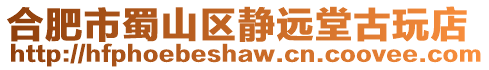 合肥市蜀山區靜遠堂古玩店