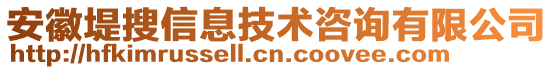 安徽堤搜信息技術咨詢有限公司