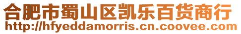 合肥市蜀山區(qū)凱樂百貨商行
