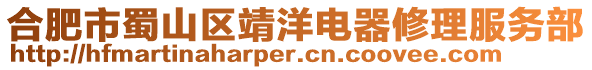 合肥市蜀山區靖洋電器修理服務部