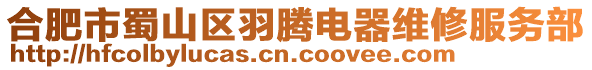 合肥市蜀山區(qū)羽騰電器維修服務部