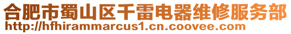 合肥市蜀山區(qū)千雷電器維修服務(wù)部